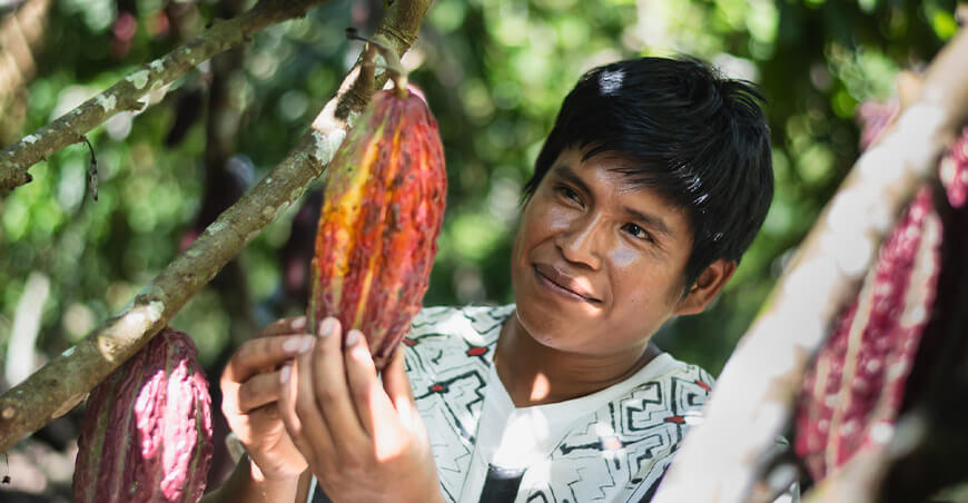 comunidad nativa Puija en Ucayali impulsa cacao sostenible y conserva bosques Perú