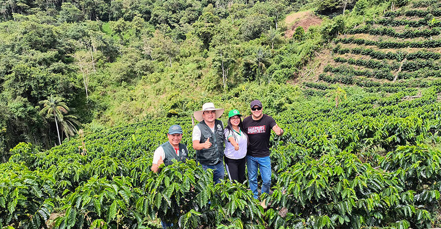 plantaciones de café agroforestería San Ignacio  Cajamarca Perú