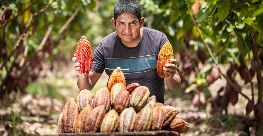 productor de cacao Nelson Soto Villanueva distrito de Santa Rosa, región Ayacucho Perú Devida