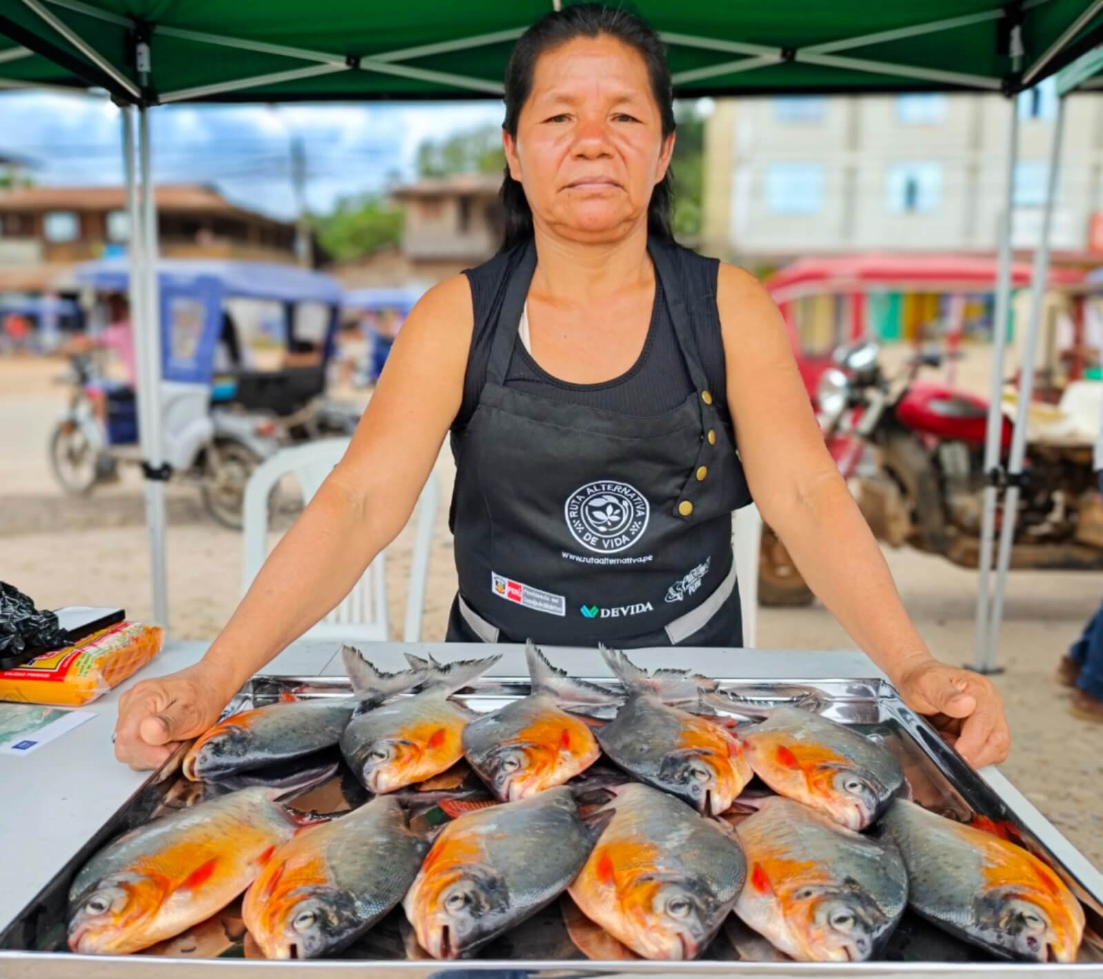Acuicultores vendieron 6.5 toneladas de paco por S/100 000 en feria por Semana Santa Pasco Perú