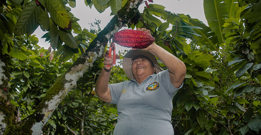 productora de cacao Cooperativa Agraria del Centro Poblado de Bella Huánuco Perú