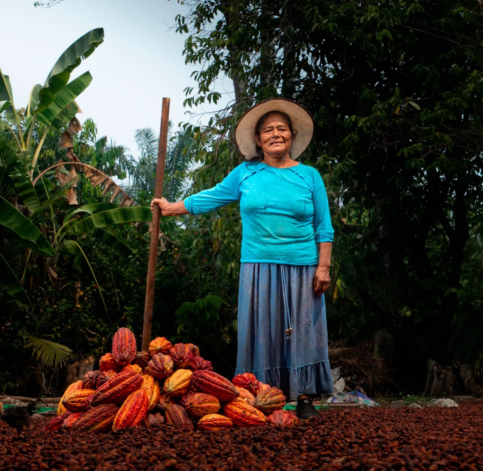 productora de cacao San Martín Devida Perú