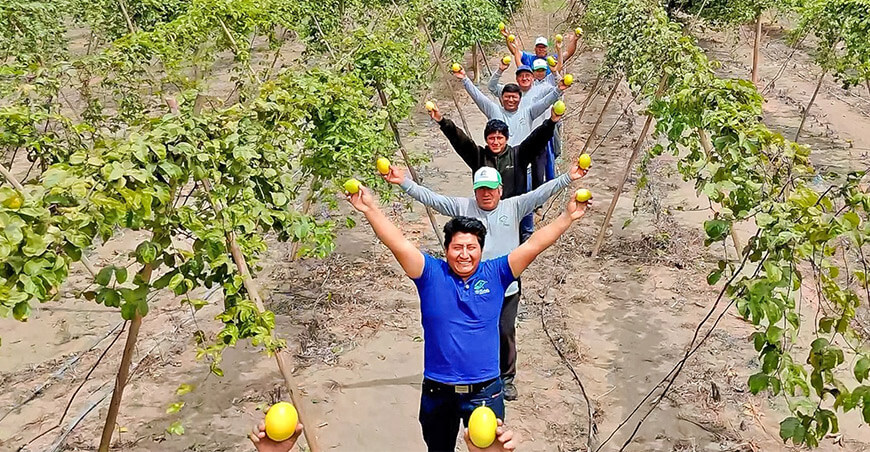 productor maracuyá ´Perú