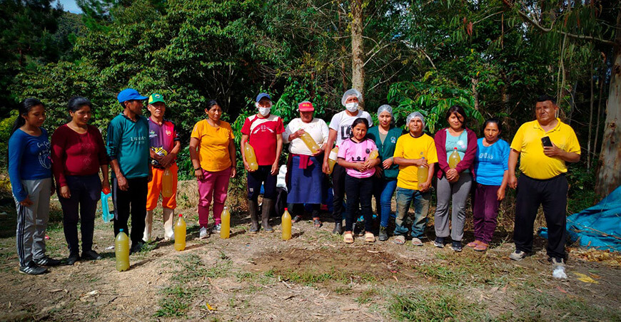 Productores de Yanahuaya impulsan valor agregado de la piña Puno Perú