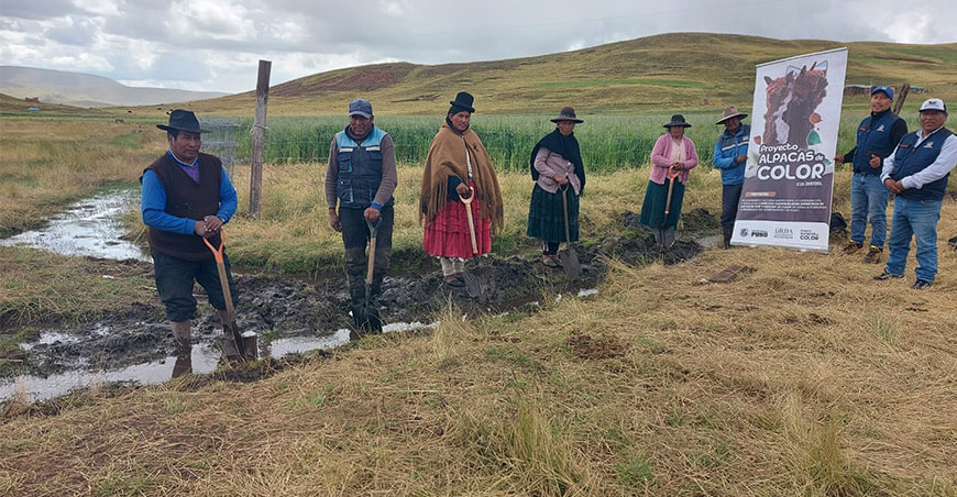 Proyecto Alpacas de Color promueve el manejo sostenible de pasturas en Puno