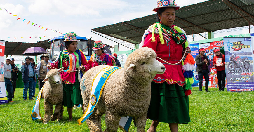 Feria Ganadera, Artesanal y Agroindustrial del Sur del Perú Fegasur Puno Perú