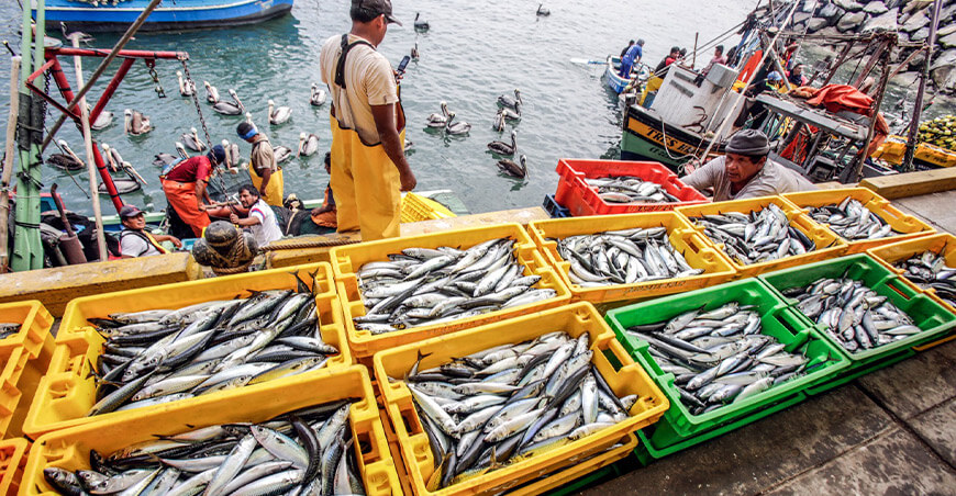 Sanipes pescadores Perú