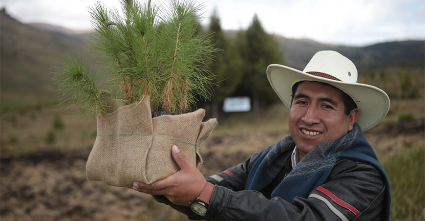 Serfor campaña forestal siete regiones Perú