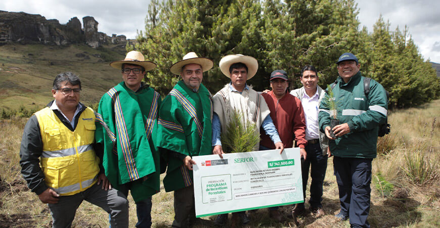 Serfor campaña forestal siete regiones Perú