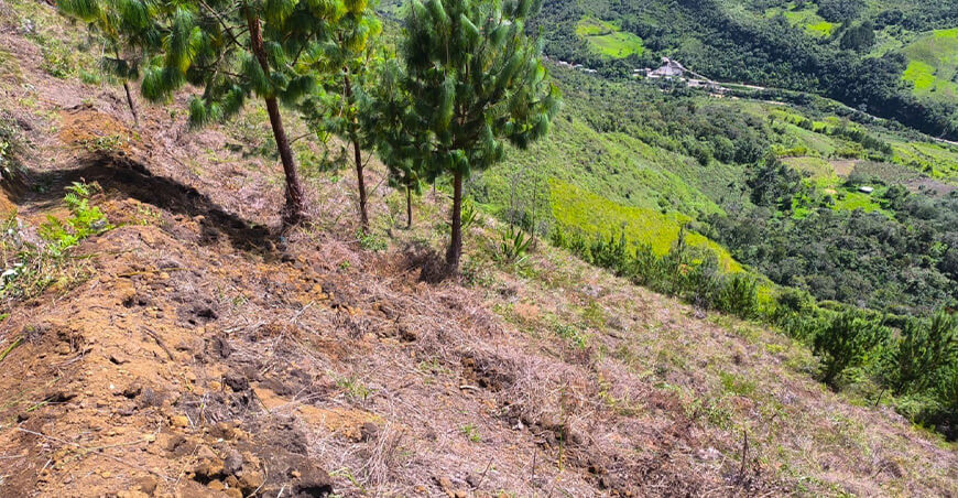 Sierra Azul inicia primera obra de siembra y cosecha de agua reforestación Amazonas Perú