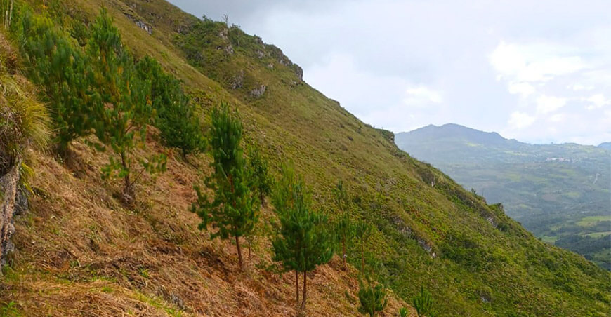 Sierra Azul inicia primera obra de siembra y cosecha de agua reforestación Amazonas Perú
