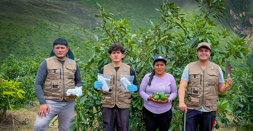Proyecto PALTECH impulsa innovación para una producción sostenible del cultivo palto Perú UNTRM