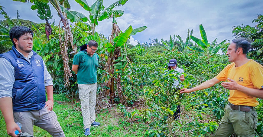 UNTRM articula trabajo con caficultores de Ocumal para mejorar la producción Amazonas Perú