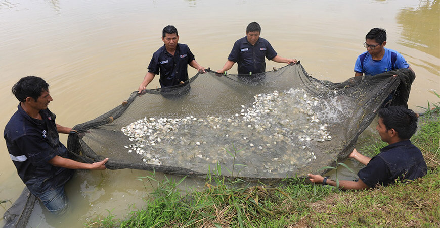 acuicultores pescadores artesanales Perú