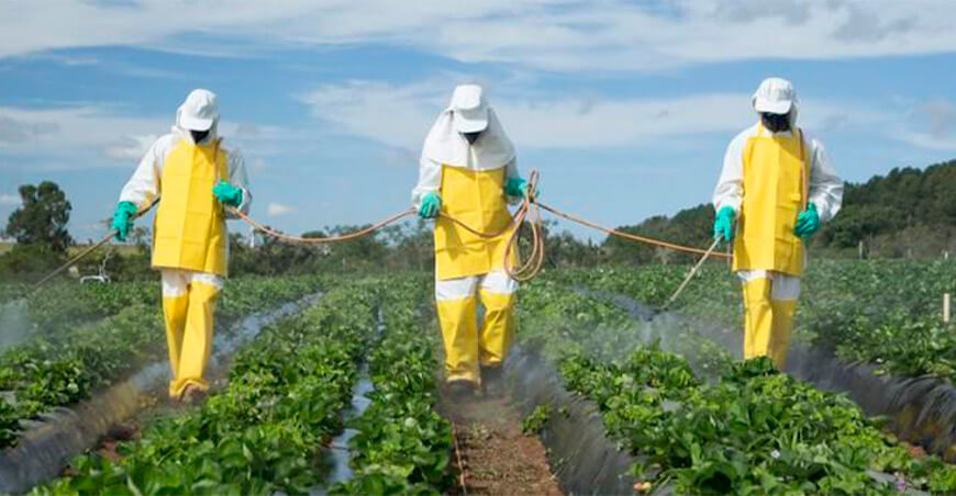 El Manejo Integrado de Plagas se posiciona como clave para garantizar la seguridad alimentaria y la producción sostenible de papa Cultivida Perú
