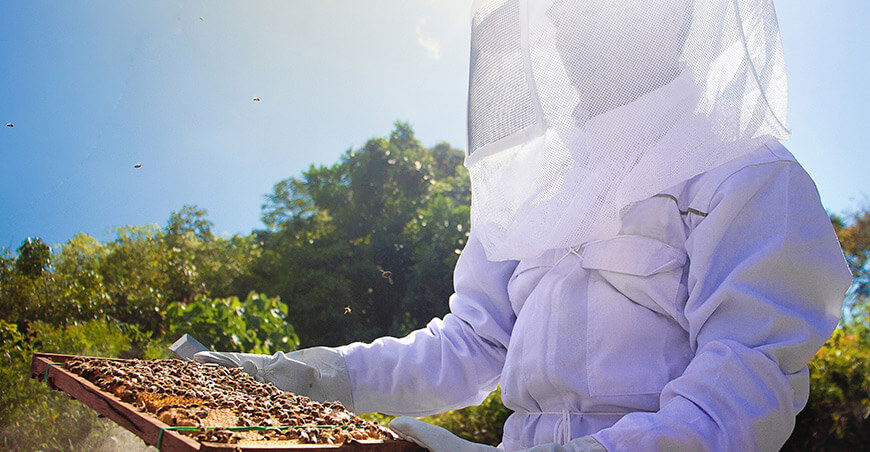 Día Mundial de las Abejas apicultores apícolas Devida Perú