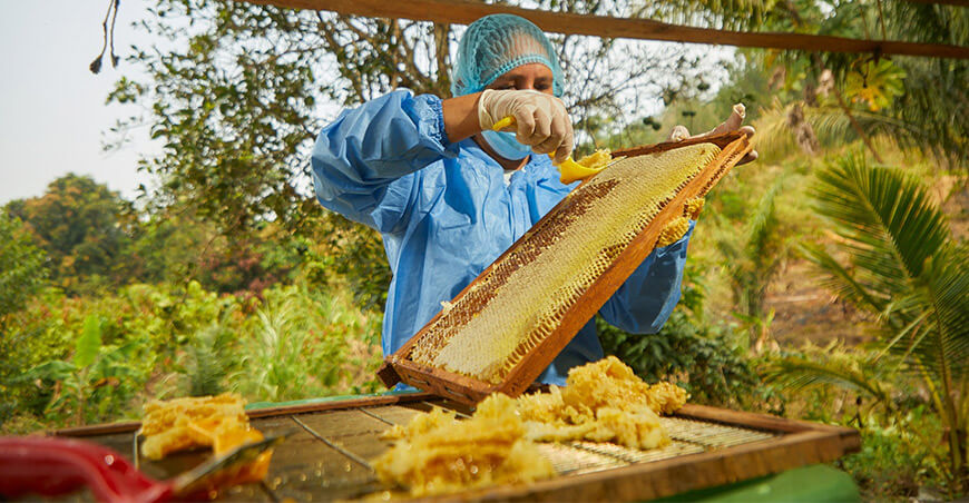 Apicultores del Vraem crianza abejas producción miel Devida Perú