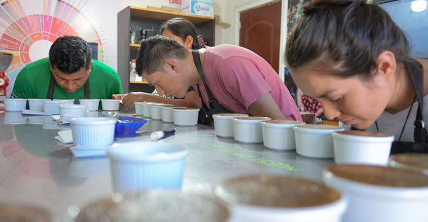 Ocho nuevos Q Grader potenciarán la calidad del café del Alto Huallaga Huánuco Perú Devida
