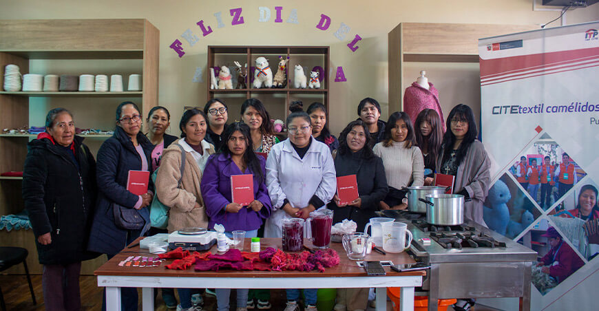 CITEtextil Camélidos Puno impulsa innovación en teñido natural con cochinilla para fibra de alpaca y lana de oveja