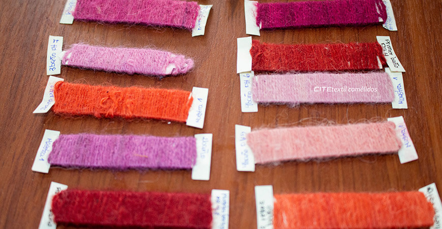 CITEtextil Camélidos Puno impulsa innovación en teñido natural con cochinilla para fibra de alpaca y lana de oveja