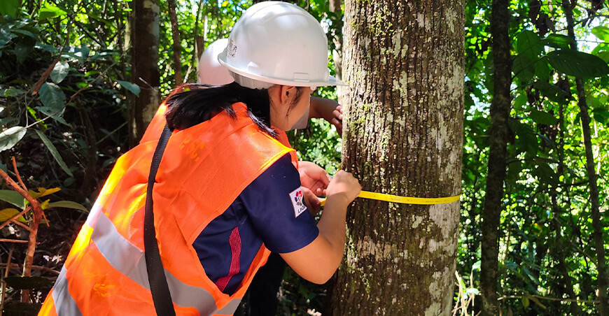 Comunidad nativa awajún fortalece la conservación de sus bosques Cajamarca Perú