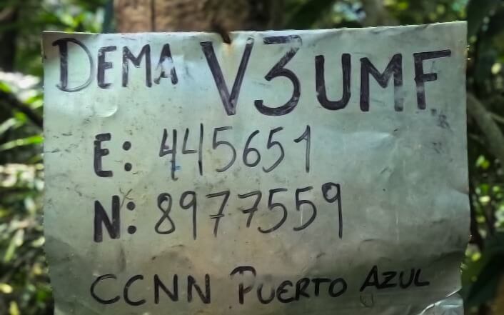 Puerto Azul, la comunidad nativa que defiende su bosque e identidad pueblo kakataibo Perú