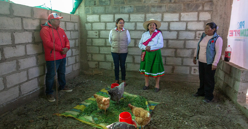 Mujeres de Talamolle impulsan producción de huevos ecológicos con apoyo de Procompite Moquegua Perú