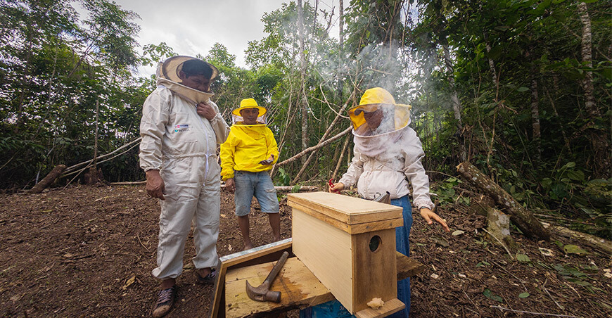 Devida entregó 1000 colmenas para fortalecer la apicultura de 200 familias en Condorcanqui Amazonas Perú