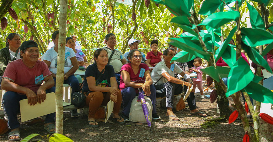 Devida consolida capacidades de más de 150 cacaoteros escuelas de campo agricultores San Martín Perú