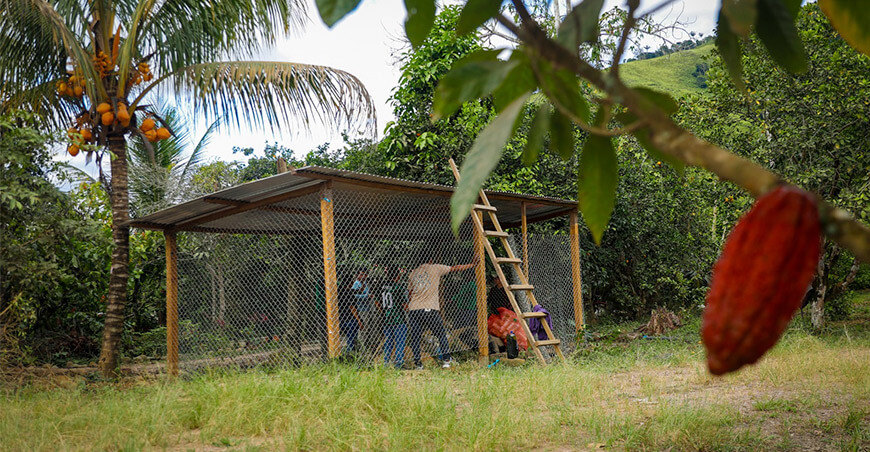 Devida implementa módulos de acopio de residuos sólidos en zonas cacaoteras del Vraem
