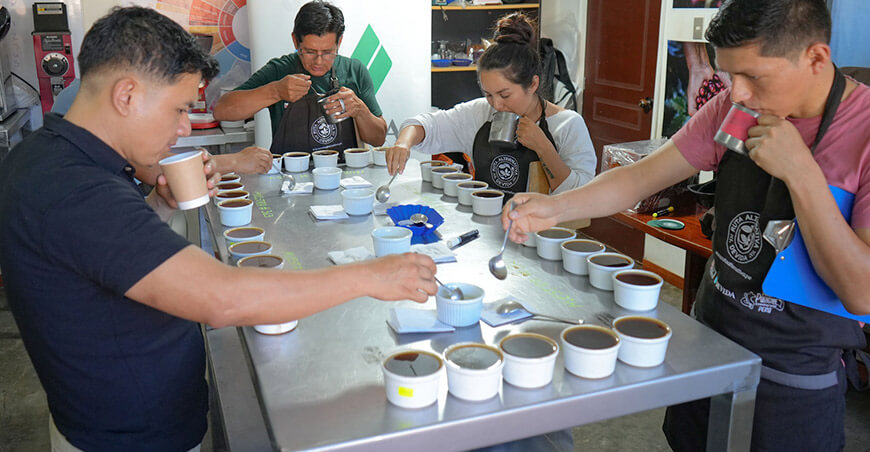 Ocho nuevos Q Grader potenciarán la calidad del café del Alto Huallaga Huánuco Perú Devida