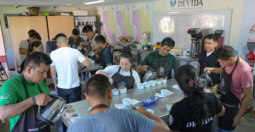 Ocho nuevos Q Grader potenciarán la calidad del café del Alto Huallaga Huánuco Perú Devida