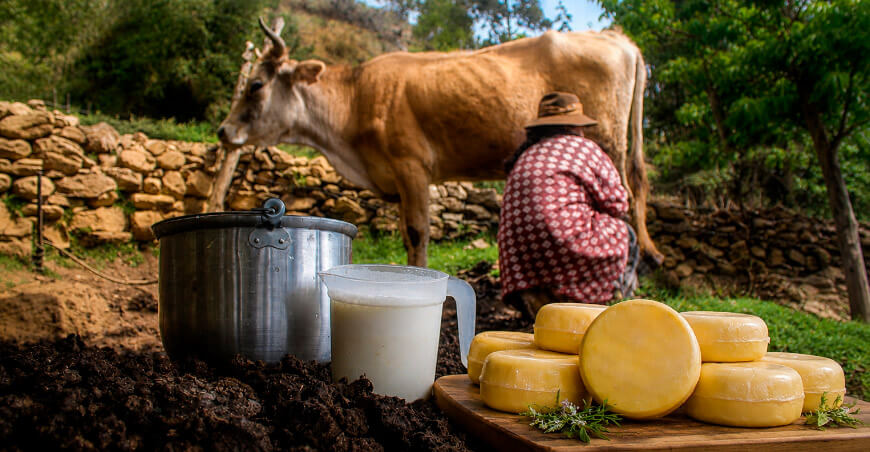 Día del Queso Peruano