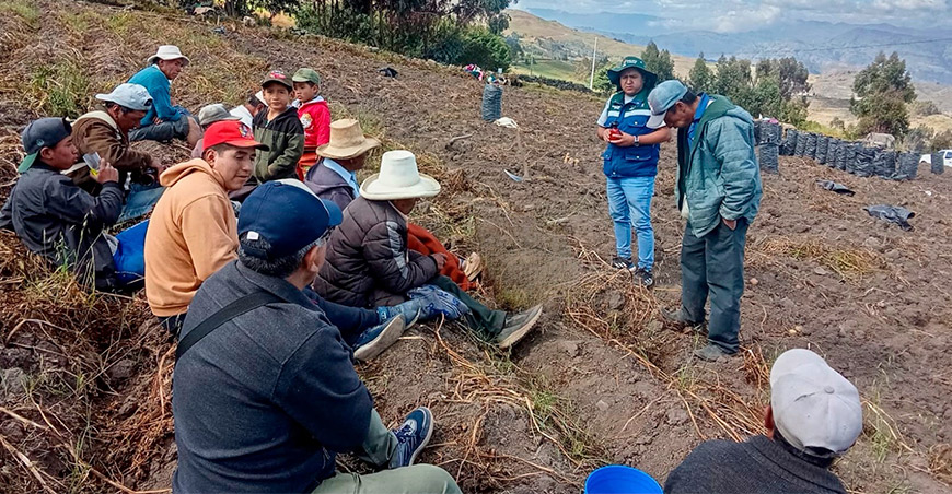 Productores participan en la Encuesta Nacional de Intenciones de Siembra La Libertad Perú