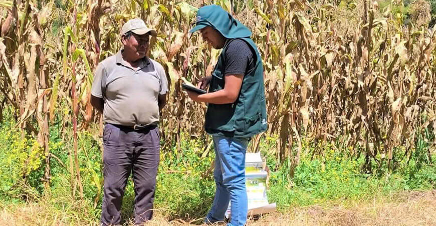 Midagri inicia la Encuesta Nacional de Intenciones de Siembra ENIS Perú