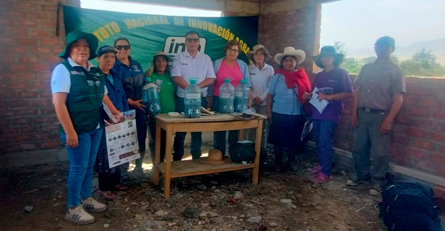 Implementan escuelas de campo para fortalecer el cultivo de maíz en Laredo La Libertad Perú