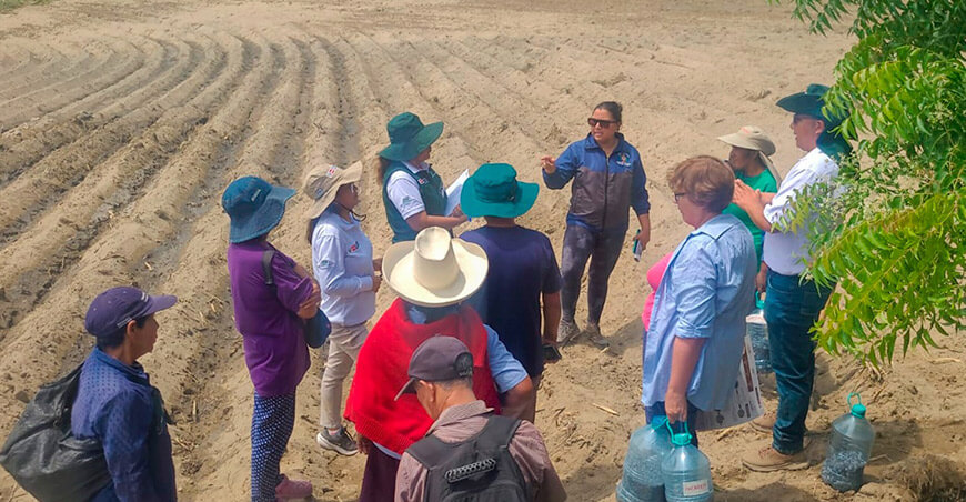 Implementan escuelas de campo para fortalecer el cultivo de maíz en Laredo La Libertad Perú