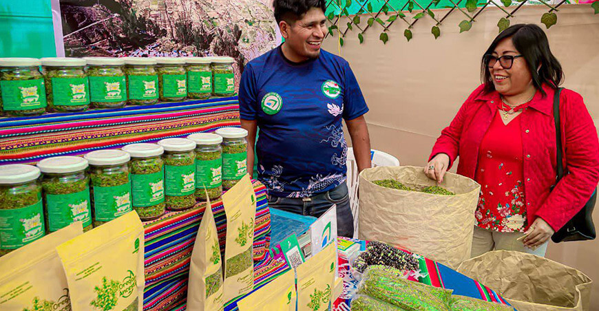 Festival Regional del Orégano Tacna Perú