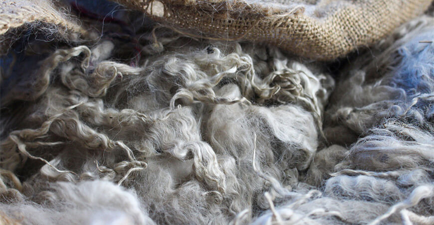 Alpaqueros fibra de alpaca Cite ITP Perú