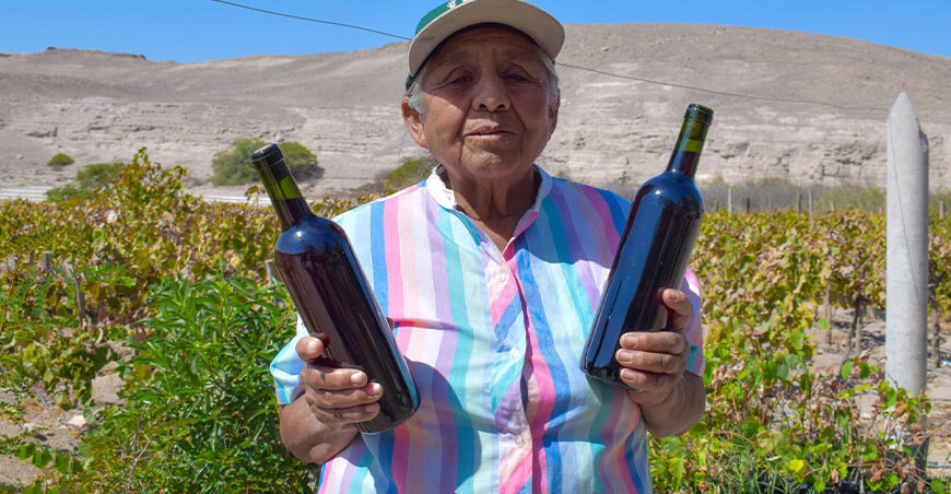 Productores se capacitan en filtrado y embotellado de vino Tacna Perú