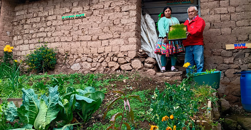 Foncodes asegura agua para riego y fortalece la producción agropecuaria con biohuerto en Ayacucho Perú
