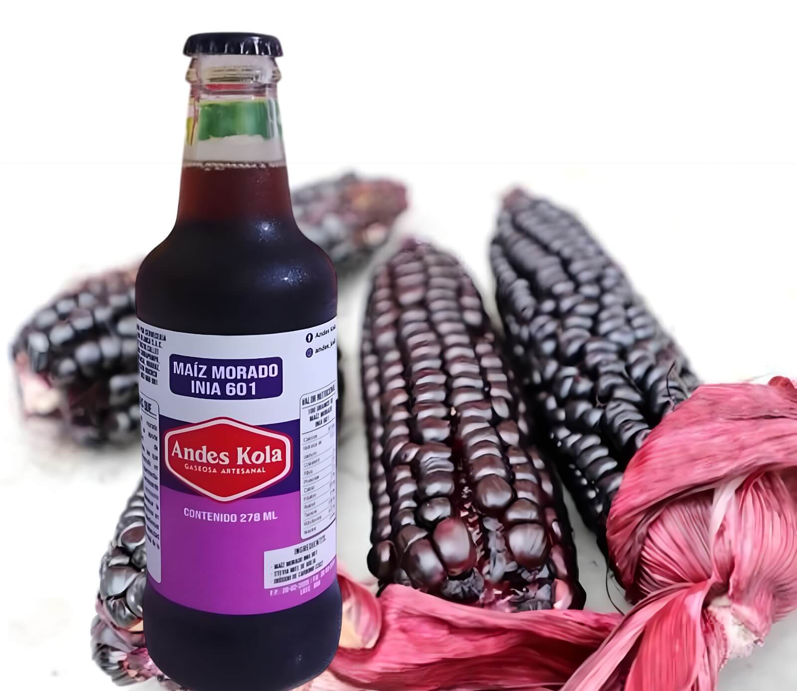 Gaseosa Andes Kola