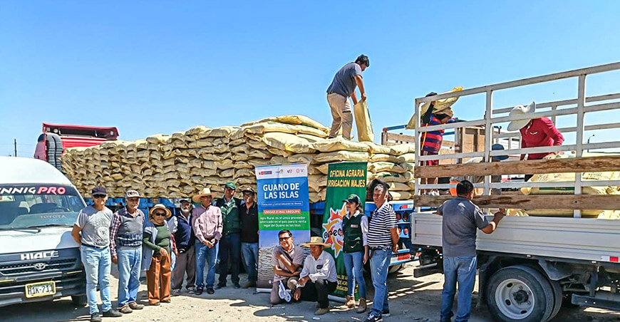 Distribuyen 600 sacos de guano de islas a productores de Irrigación Majes Arequipa Perú
