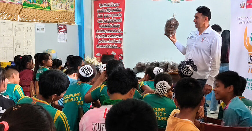 Estudiantes de la comunidad nativa Panjuy aprenden a cultivar hongos comestibles San Martín Perú IIAP