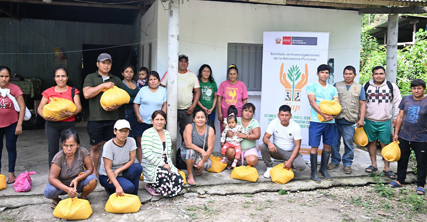 IIAP entrega semillas e hijuelos de plátano a familias de Huánuco para reactivar la producción agrícola
