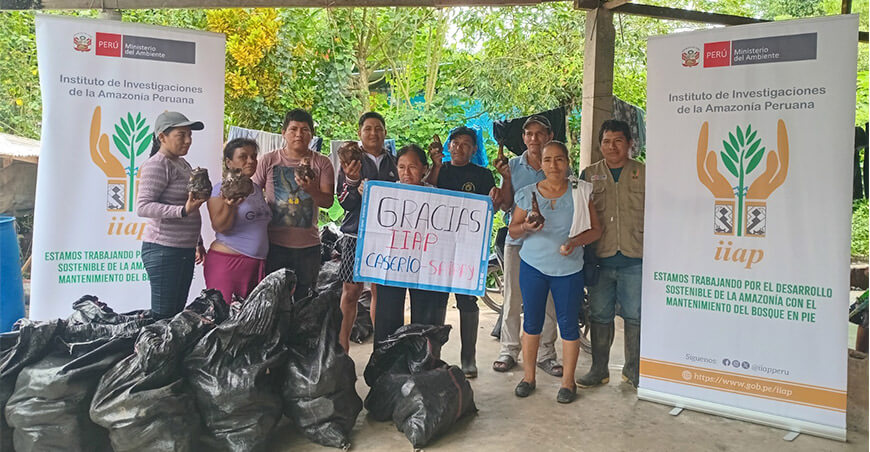 IIAP entrega semillas e hijuelos de plátano a familias de Huánuco para reactivar la producción agrícola