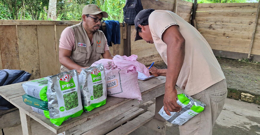 IIAP entrega 220 kilos de semillas de rápido crecimiento a familias afectadas por inundaciones Perú