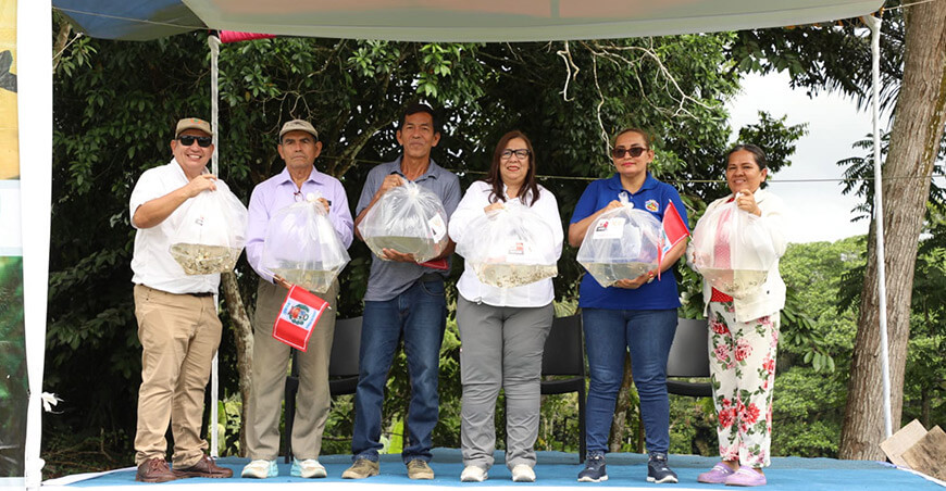 Entregaron 13 000 alevinos a piscicultores del distrito de Belén Loreto Perú