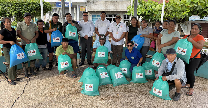 Piscicultores de Irazola diversifican su producción con 22 millares de alevinos de boquichico Ucayali IIAP Perú
