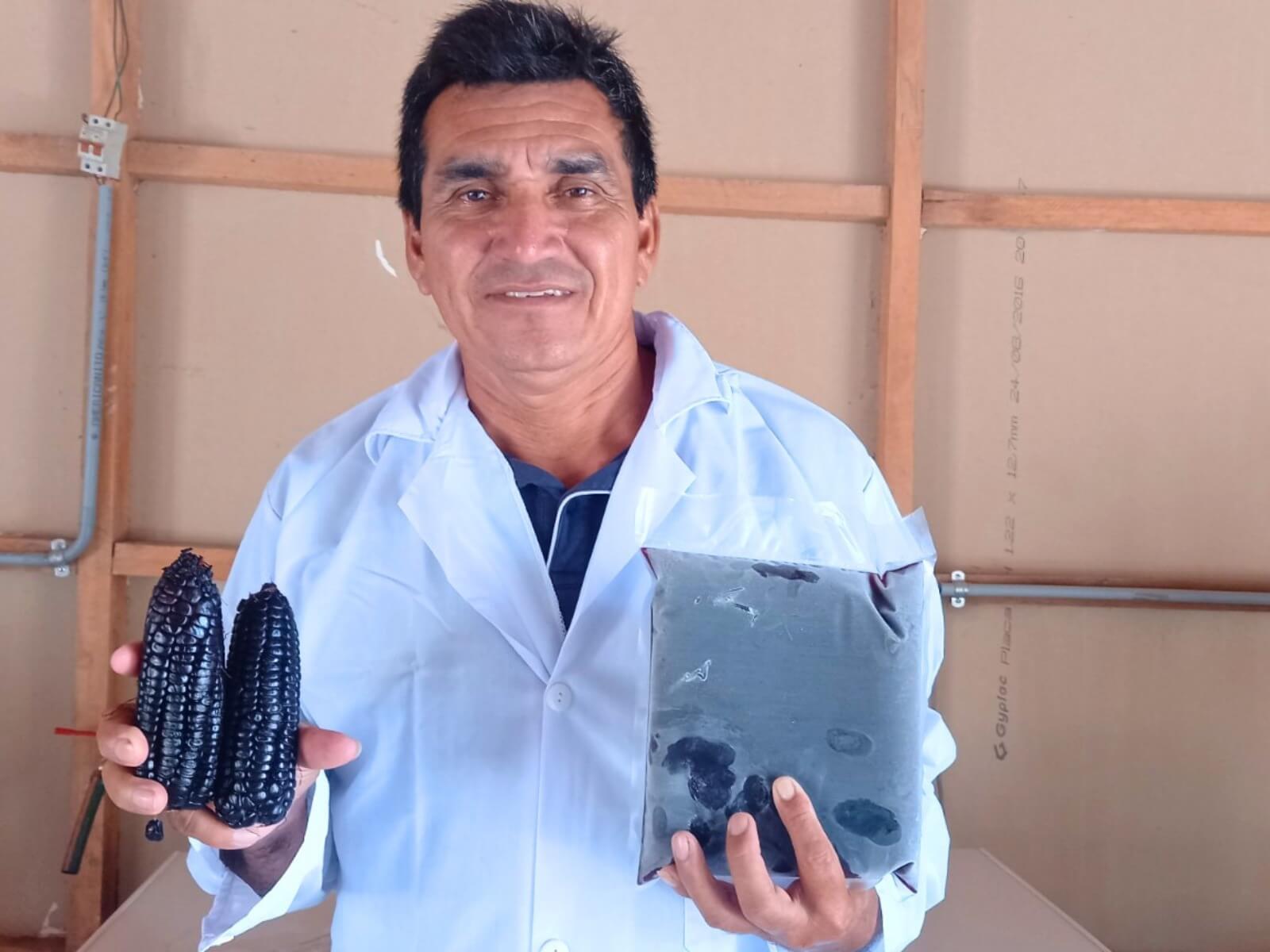 el maíz morado de la variedad INIA-615 Negro Canaán se adapta con éxito a los suelos inundables de Ucayali IIAP Perú